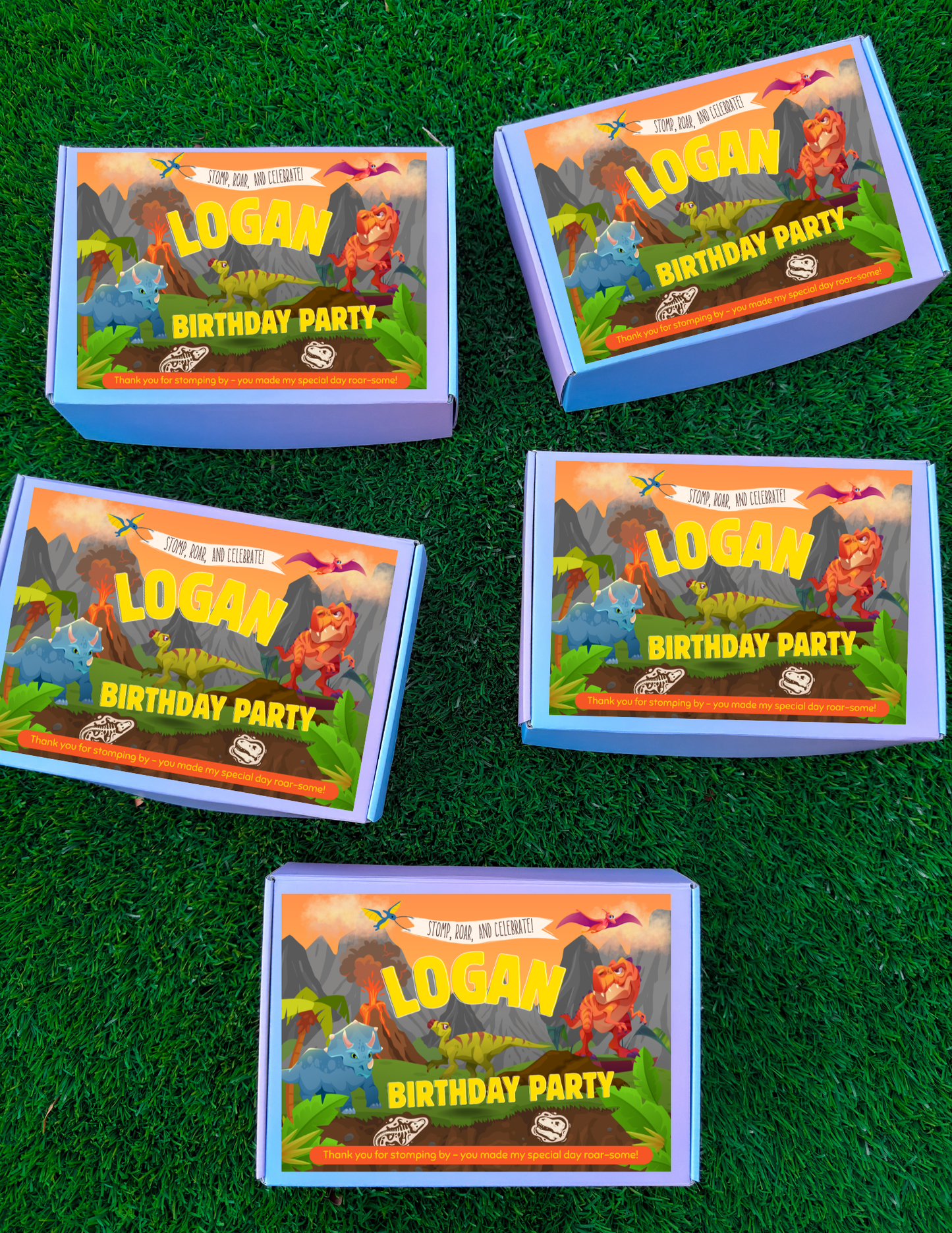 Boys Birthday Adventure - Themed